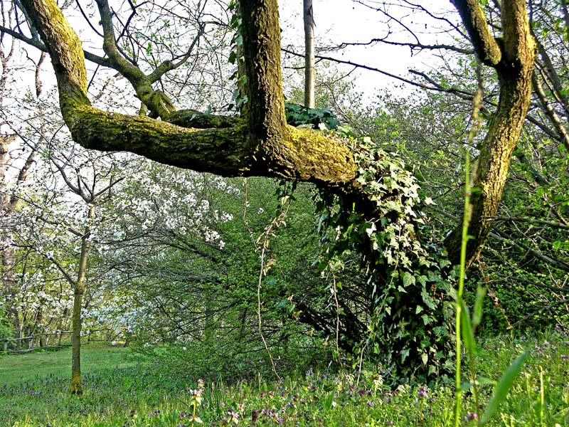 Ritrovamenti marted� 3 aprile.